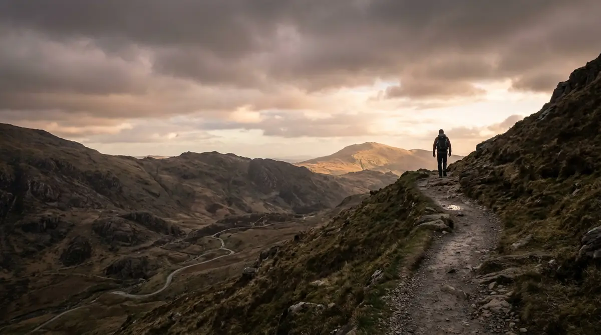 まとめ｜暴落は長期投資家にとって「通過点」に過ぎない